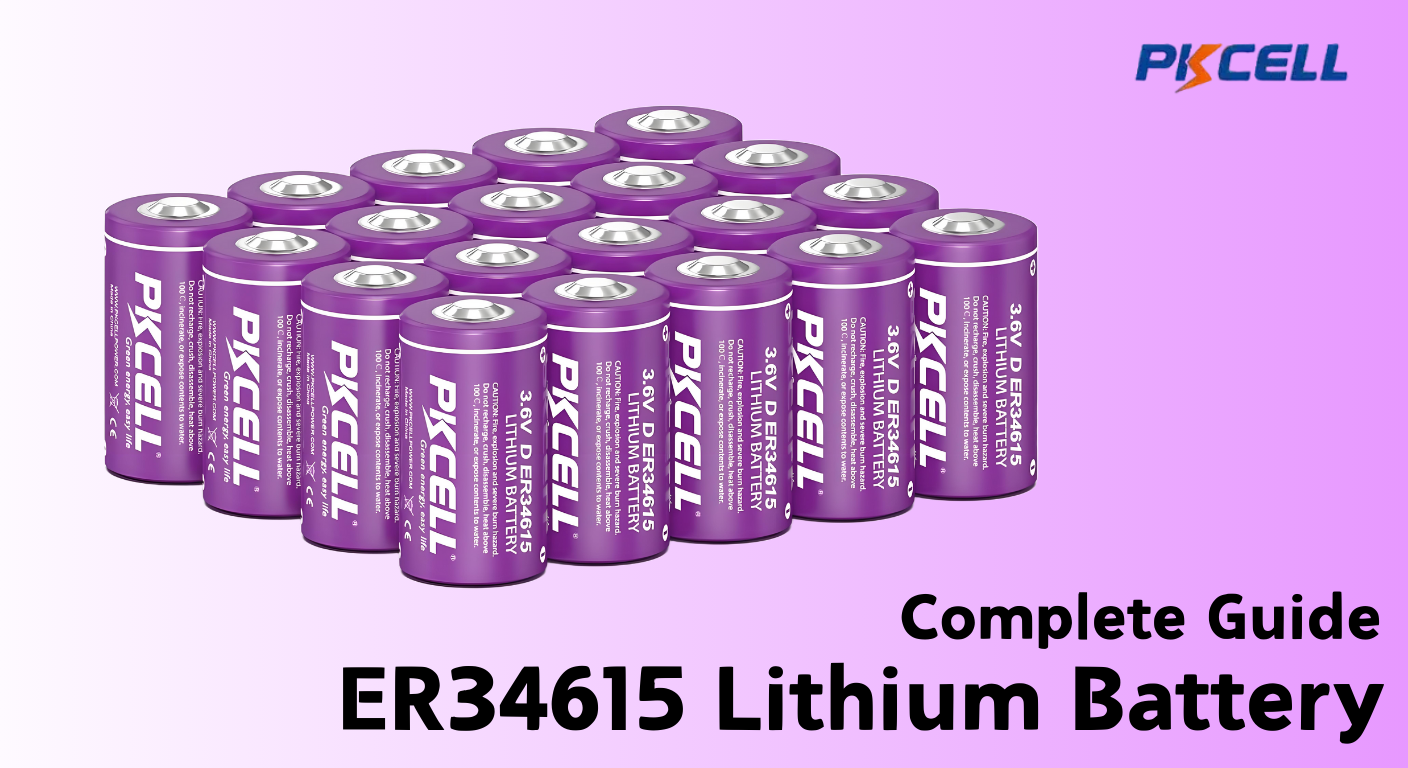 Explore completamente la batería de litio ER34615