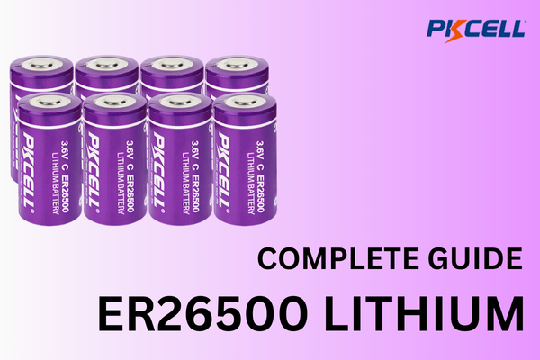 Полное руководство по покупке аккумулятора ER26500 C