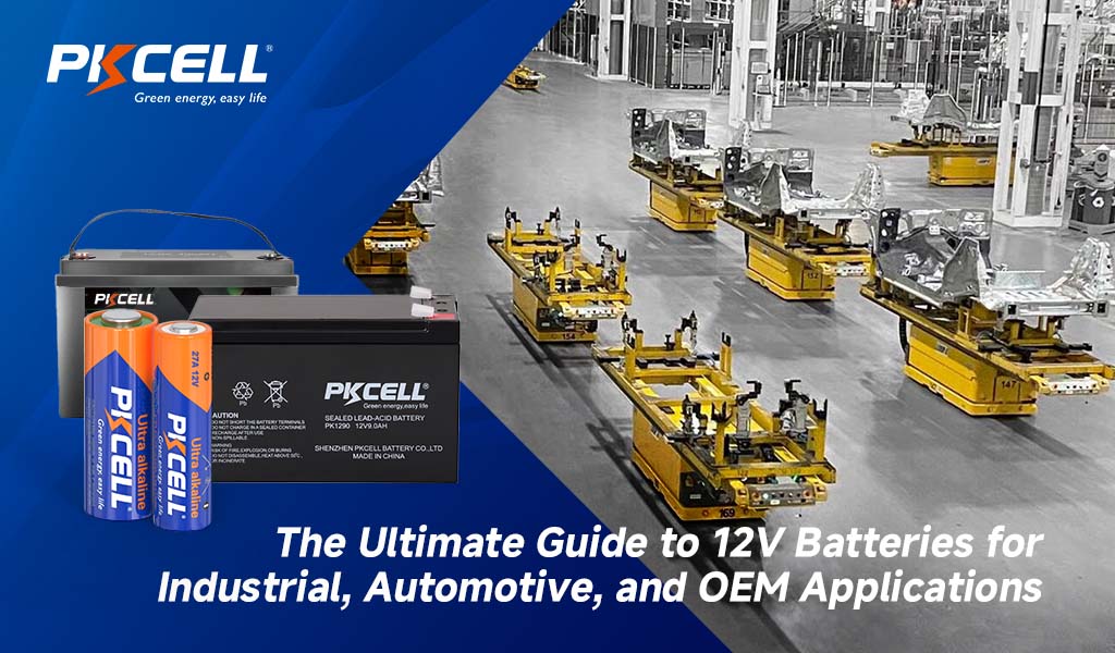 The Ultimate Guide to 12V Batteries for Industrial, Automotive, and OEM Applications